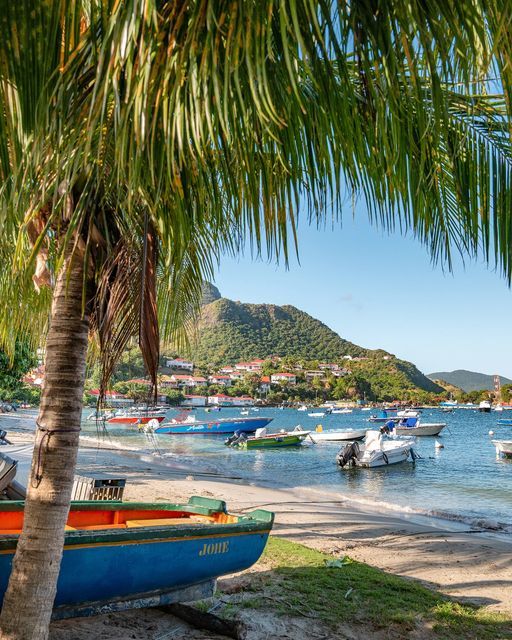 Image téléchargée