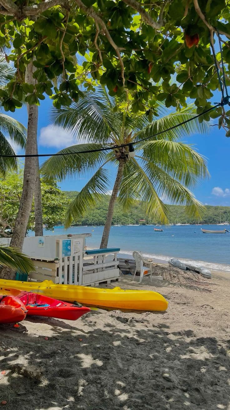 Image téléchargée